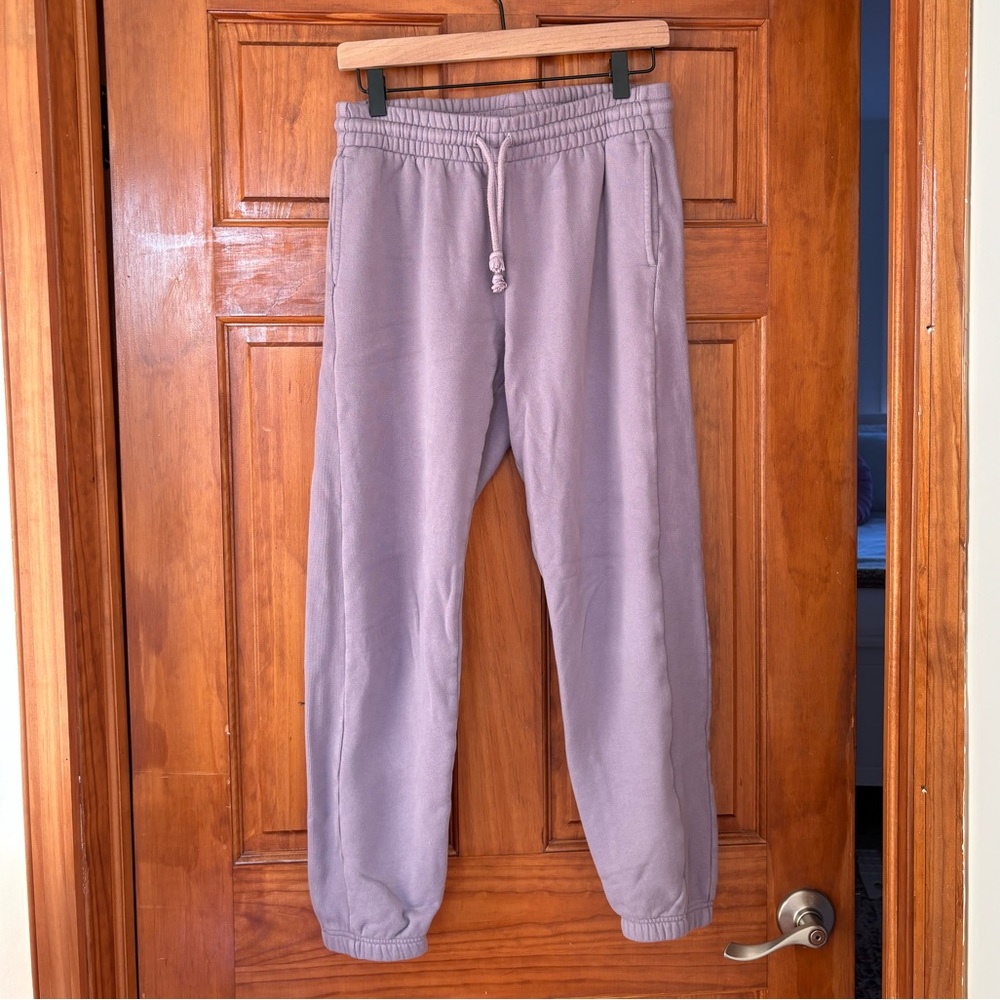 Aritzia TNA Cozy Fleece Boyfriend Sweatpant